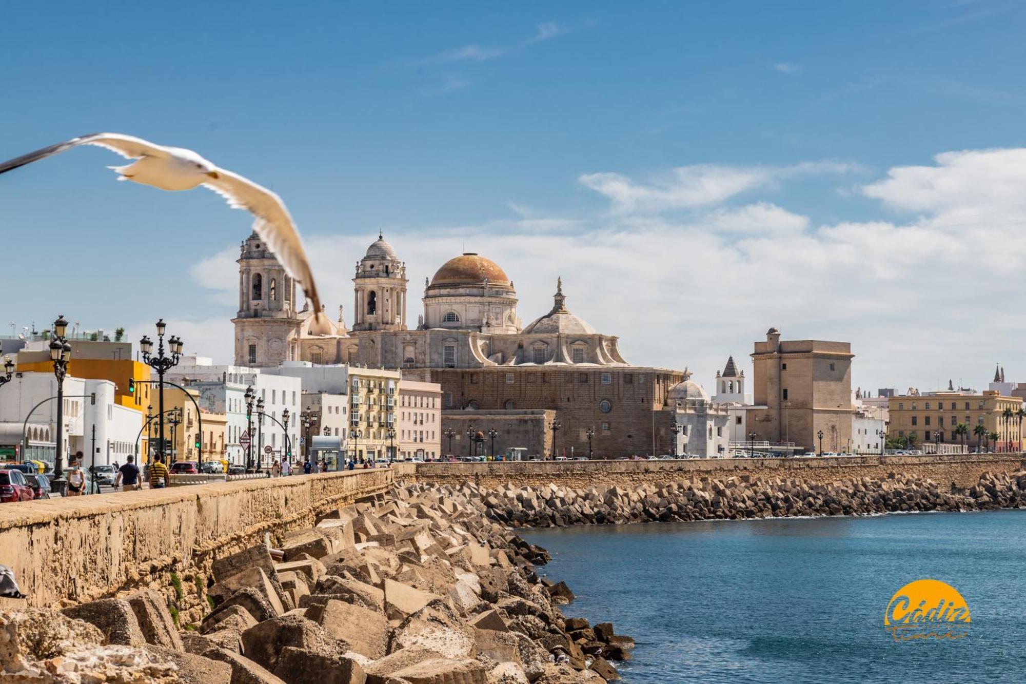 Delfin Azul 2 Free Parking By Time Cadiz